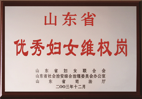 山东省优秀妇女维权岗